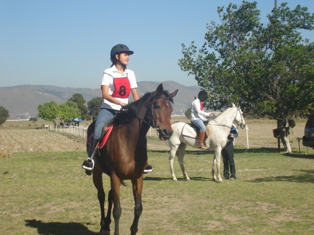  Horseback riding 